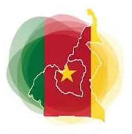 Logo ACIAI
